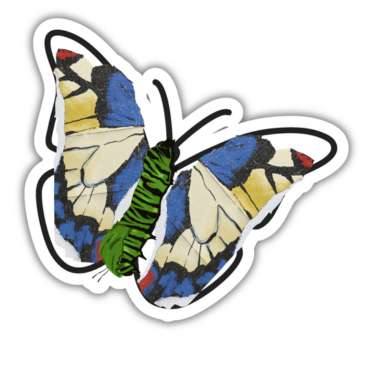"Butterfly". vlinder en rups sticker